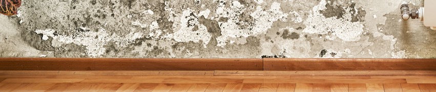 Why Rising Damp Can Be a Problem